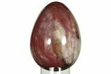 Colorful, Polished Petrified Wood Egg - Madagascar #211142-1